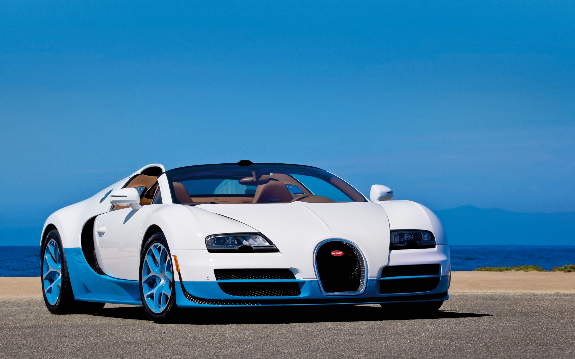 Bugatti Veyron for 1920 x 1200 widescreen resolution