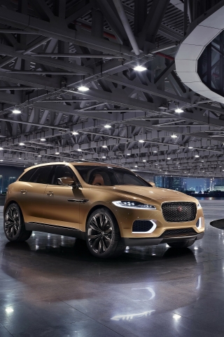 Jaguar C X17 2013 for 320 x 480 Phones resolution